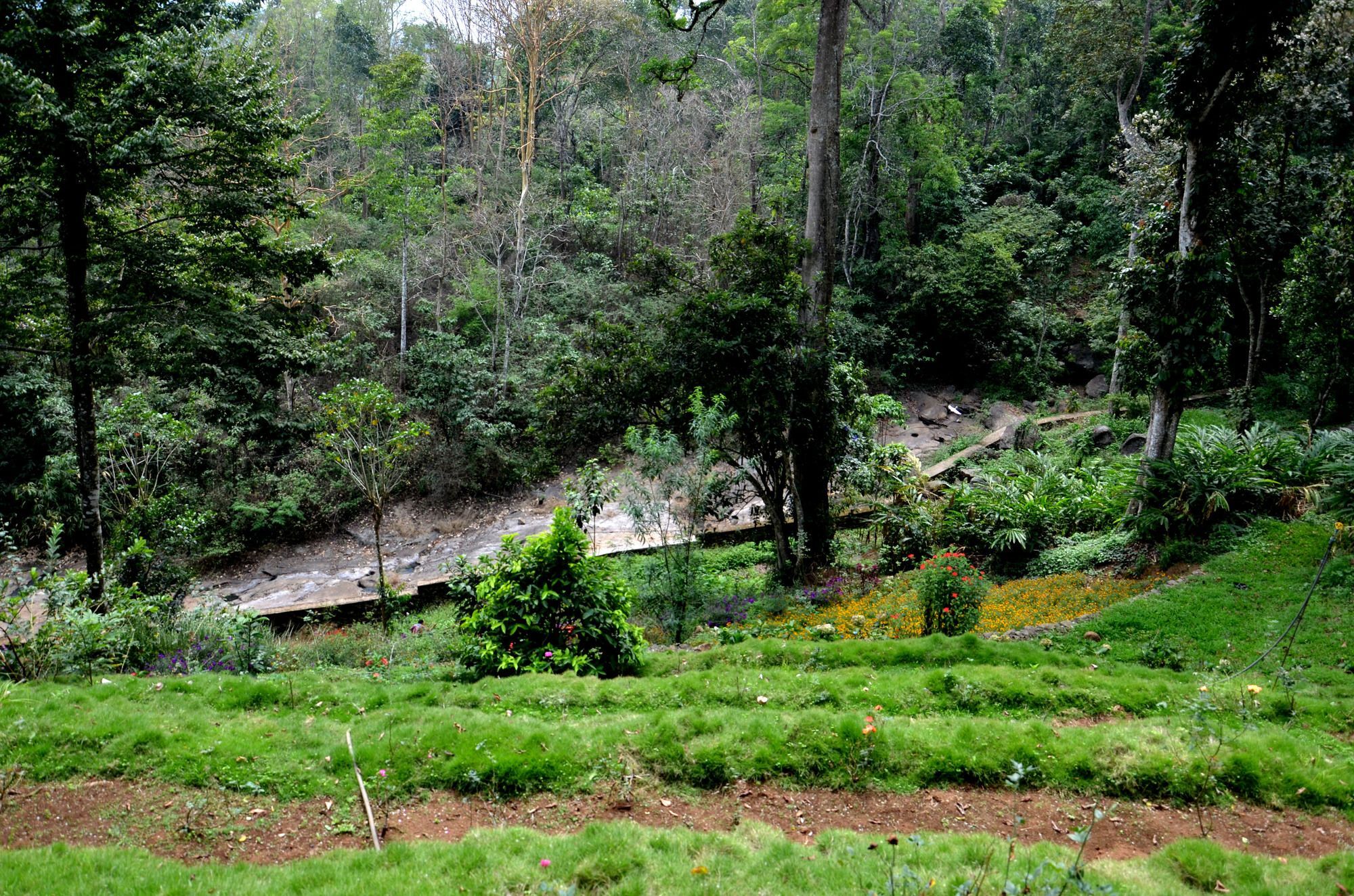 Bamboo Dale Hotel Munnar Bagian luar foto